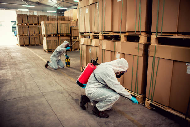 Best Best Pest Control Companies  in Ladera Heights, CA