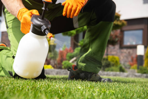 Wasp Removal Services in Ladera Heights, CA