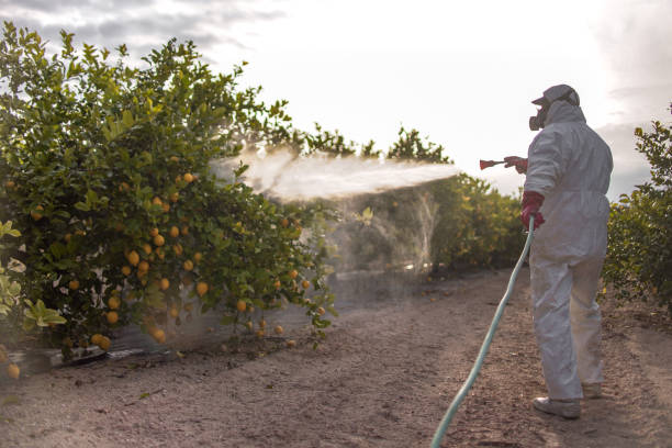 Best Best Pest Control Companies  in Ladera Heights, CA