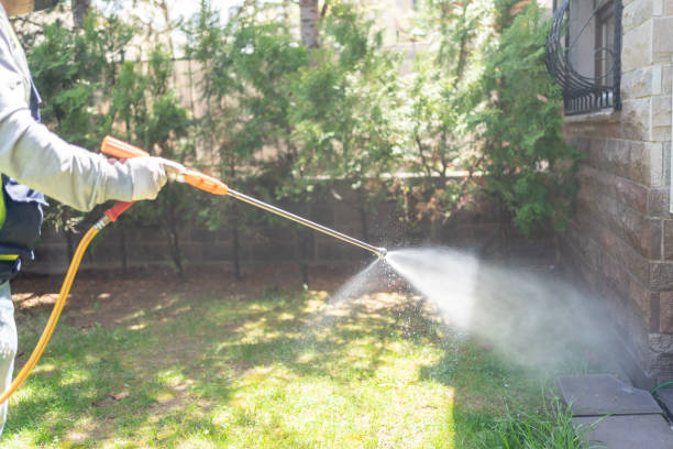 Best Pest Inspection Near Me  in Ladera Heights, CA