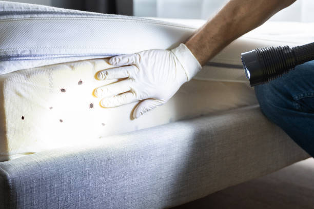 Best Residential Pest Control  in Ladera Heights, CA