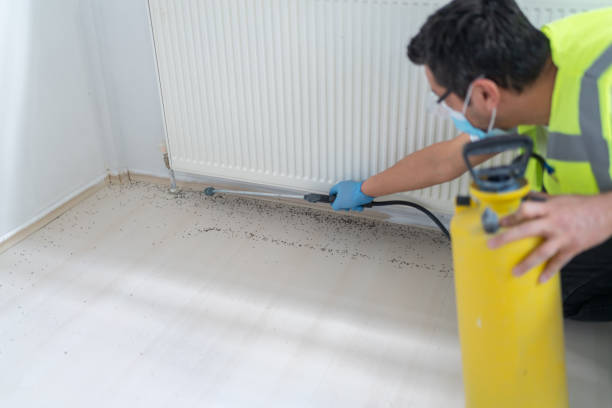 Best Pest Prevention Services  in Ladera Heights, CA