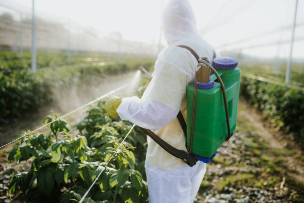 Best Local Pest Control Services  in Ladera Heights, CA